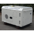 Bison China Zhejiang Super Silent Air Cooled Diesel Power Generator Starting Handle